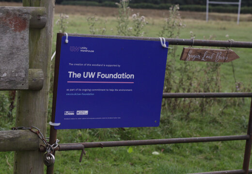 About the UW Foundation